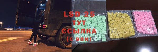 индика Лихославль