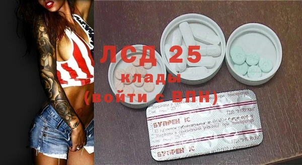 ПСИЛОЦИБИНОВЫЕ ГРИБЫ Семёнов