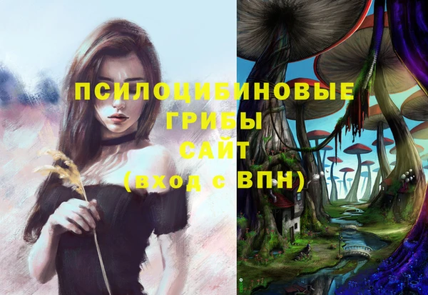 mdpv Майский