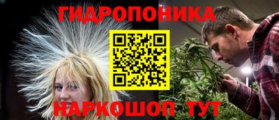 бошки Заводоуковск