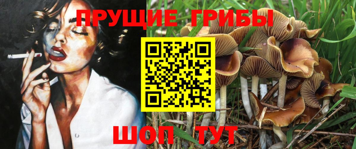 Галлюциногенные грибы прущие грибы  Галлюциногенные грибы мухоморы  Касимов  Вход с VPN 