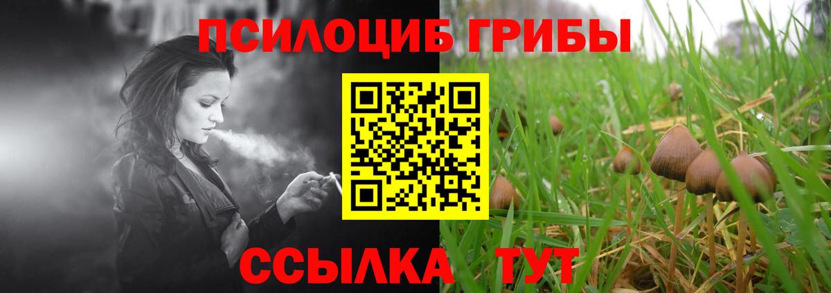 Псилоцибиновые грибы MAGIC MUSHROOMS Касимов